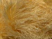 Eyelash 100gr Sarı Kanarya Sarısı A