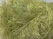 Eyelash 100gr Green, White A