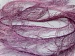 Long Eyelash Purple, Lilac B