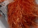 Long Eyelash Orange A
