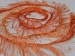 Long Eyelash Orange B