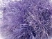 Long Eyelash Lilac A