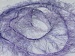 Long Eyelash Lilac B