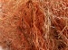 Long Eyelash Orange, Yellow, Brown A