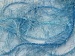 Long Eyelash Blue, Ice Blue B