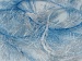Long Eyelash Blue, Beige B