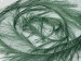 Long Eyelash Green B