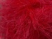 Long Eyelash Phosphoric, Pink A
