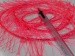 Long Eyelash Phosphoric, Pink B