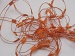 Ladder Orange A