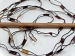 Ladder Brown, Gold B