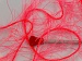 Long Eyelash Phosphoric, Pink B