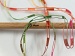 Ladder Yellow, Pink, Orange, Green B