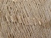 Ladder Beige, White A