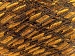 Ladder Copper, Brown A