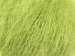 Mohair Classic Yeşil A