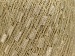 Ladder Beige A