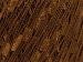 Ladder Brown A