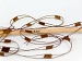 Ladder Brown B