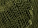 Ladder Dark Green A