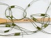Ladder Dark Green B