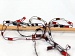 Ladder Red, Black, Brown B