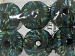 Ladder Turquoise, Green Shades C