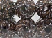 Ladder Brown Shades, White C