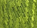 Ladder Green A