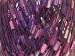 Ladder White Pink Shades Lilac Trellis A