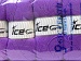 Gonca Lavender C