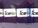 Gonca Purple C