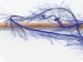 Eyelash 100gr Mor B