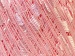Ladder Pembe Trellis A