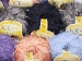 Long Eyelash Blue, Purple, Orange, Grey B
