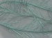 Long Eyelash Shiny, Mint, Green B