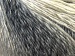 Mirage Color White Grey Shades A