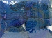 Mirage Color Mor Haki Mavi C