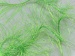 Long Eyelash Fluorescent, Green A