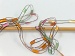 Ladder Sarı Pembe Turuncu Yeşil Trellis B