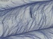 Long Eyelash Dark Lilac A