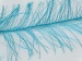 Long Eyelash Turquoise B