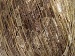 Ladder Cream Camel Beige Trellis A