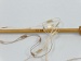 Ladder Cream Camel Beige Trellis B