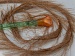 Long Eyelash Light Brown B