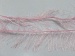 Long Eyelash Light Pink A