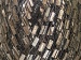 Ladder Camel Beige Trellis A
