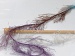 Long Eyelash Colorful Gümüş Leylak Kahverengi Mavi B