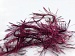 Eyelash 100gr Gipsy, Pink, Black A