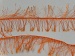 Long Eyelash Bright Orange A